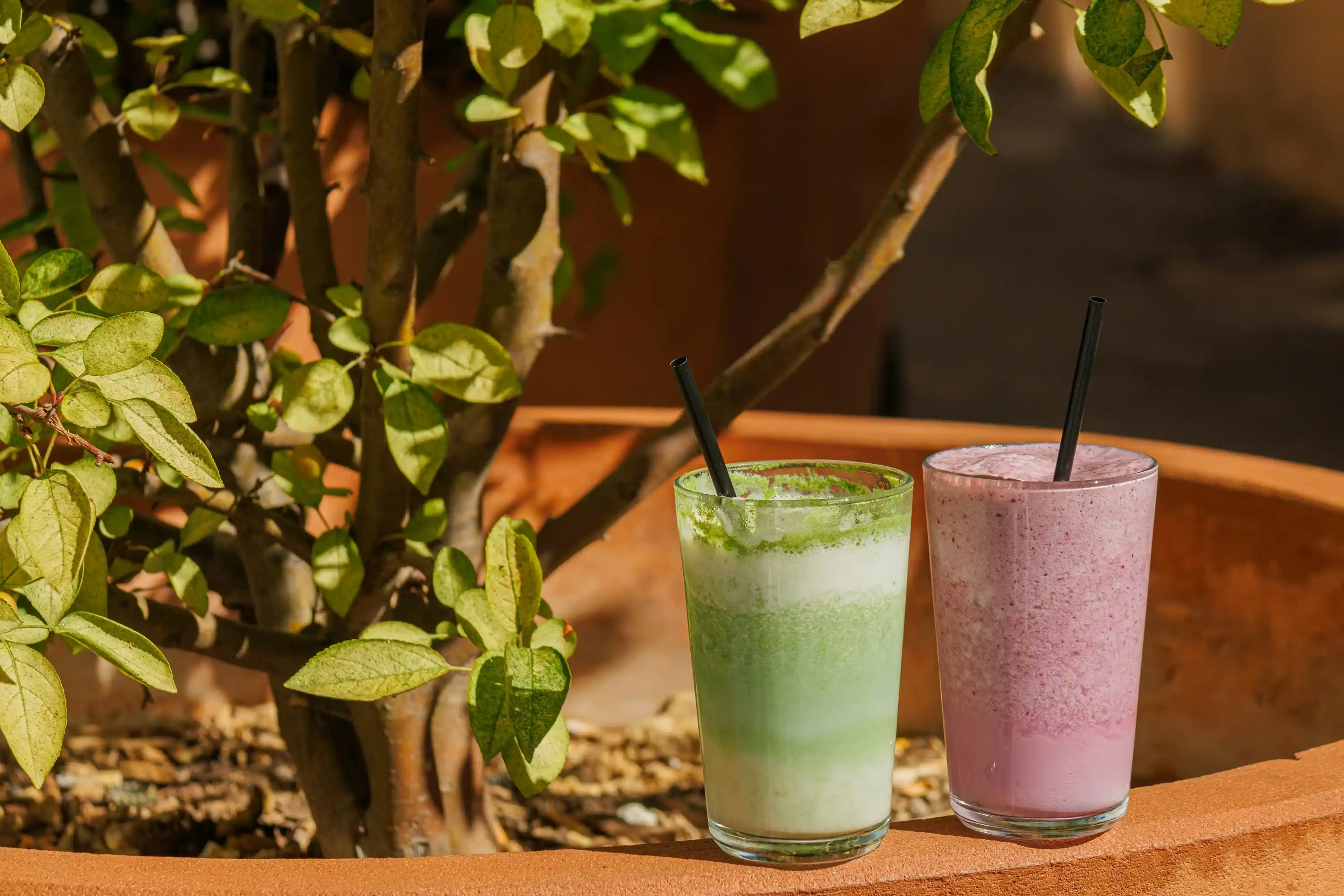 Smoothie vert et smoothie rose dans des verres sur un pot de fleurs en terrasse.